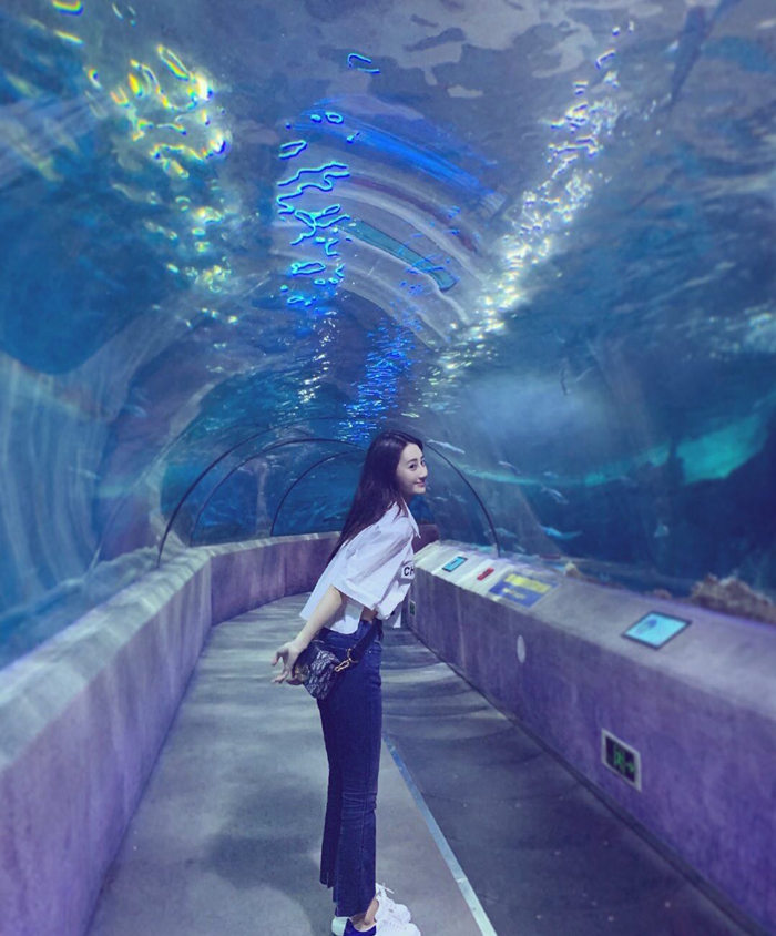 波士顿外围预约服务