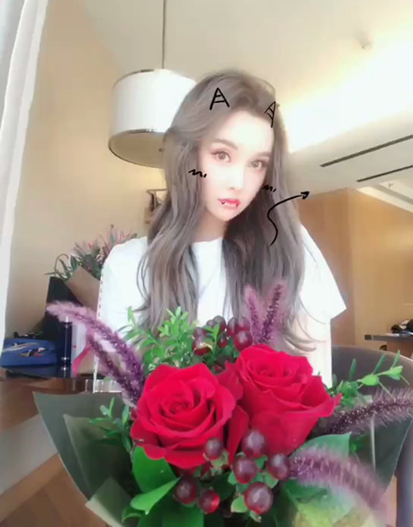 芝加哥高端模特微信